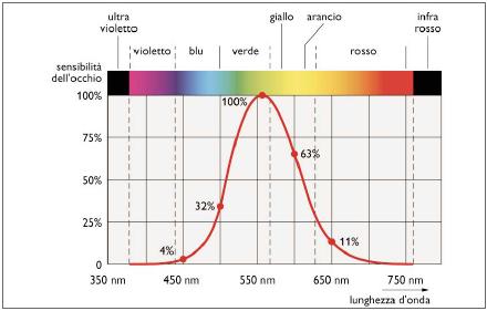 Figura1. Spettro visibile e curva CIE 1931 di risposta dell'occhio umano alla luce diurna. 